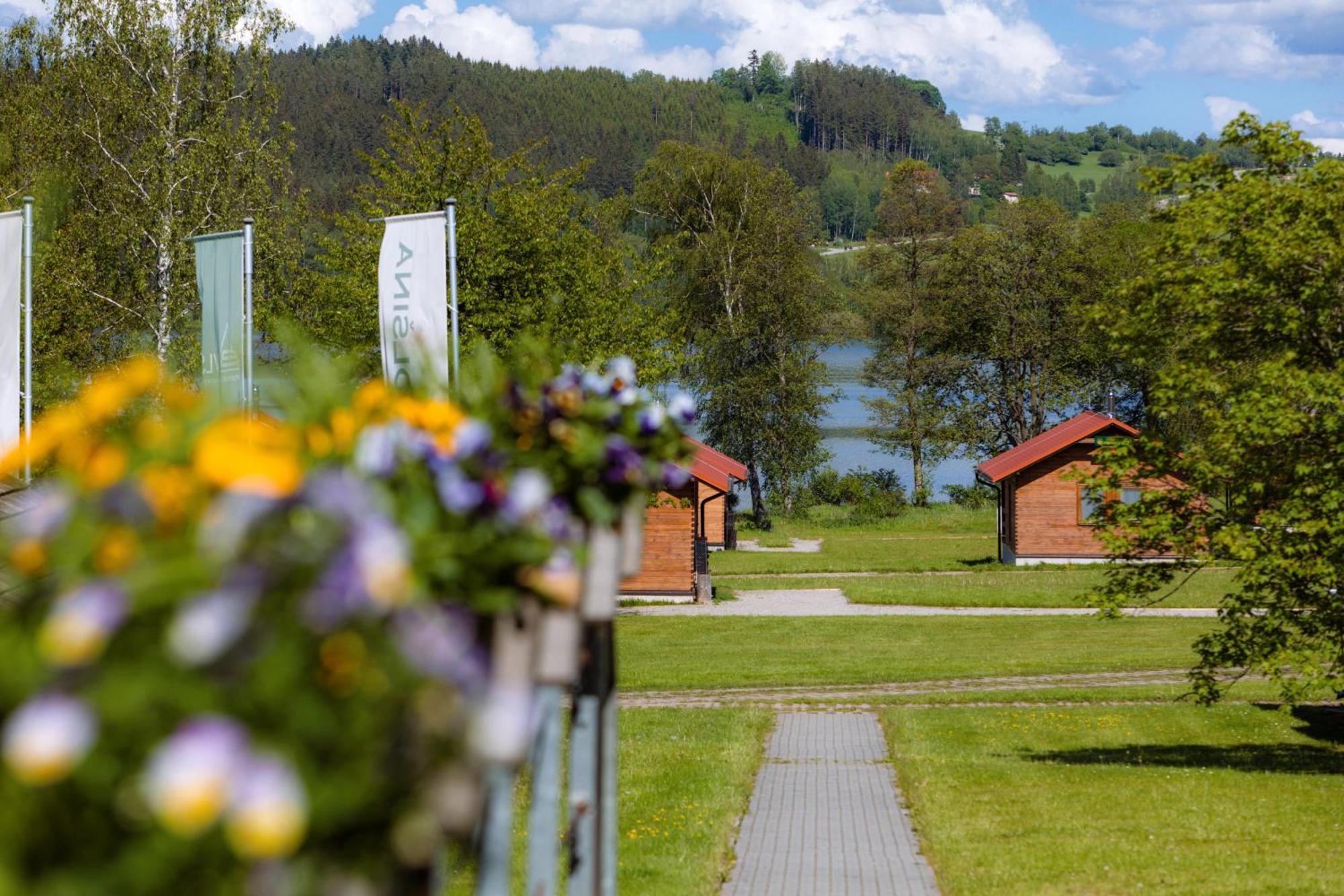 Resort Olsina Horní Planá Bagian luar foto