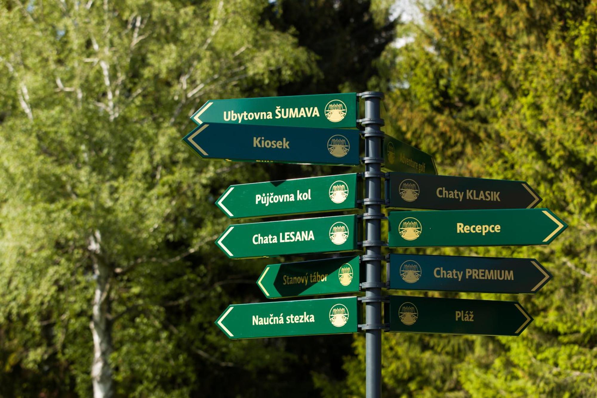 Resort Olsina Horní Planá Bagian luar foto