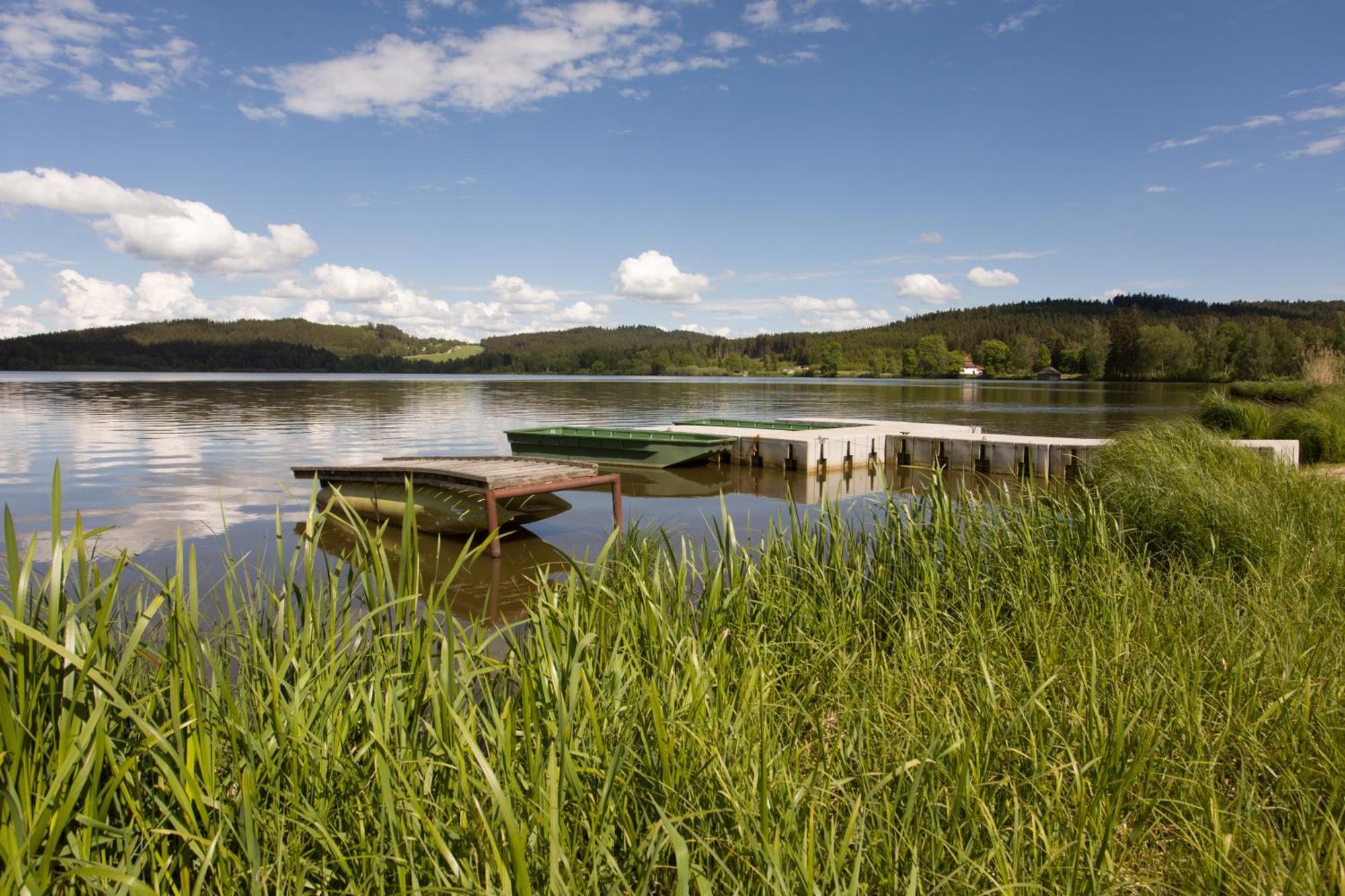 Resort Olsina Horní Planá Bagian luar foto