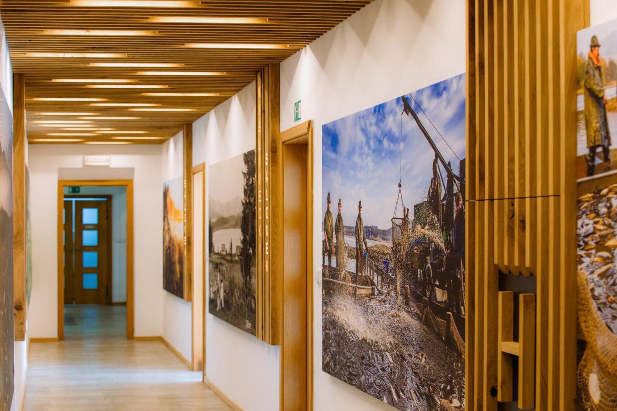 Resort Olsina Horní Planá Bagian luar foto